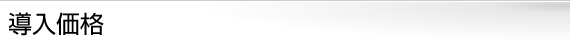 導入価格